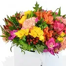 Taunton flowers  -  Bright Lights and Moet Flower Bouquet/Arrangement