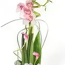 Le François flowers  -  Floral Exuberance Composition Flower Bouquet/Arrangement