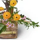 Malta flowers  -  Yellow & Green Flower Bouquet/Arrangement