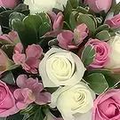 Garhoud flowers  -  Flourishing Blooms Flower Bouquet/Arrangement