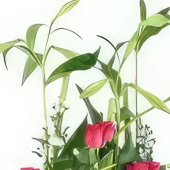 بائع زهور نانت- تنسيق الزهور الوردي والأخضر سلفادور باقة الزهور
