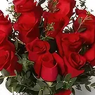Garhoud flowers  -  For Lifeline Flower Bouquet/Arrangement