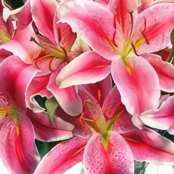 بائع زهور نابولي- عطر باقة الزهور