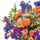 Tilburg Blumen Florist- Blumenstrauß Yara Bouquet/Blumenschmuck
