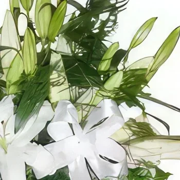 바르샤바 꽃- 흰 리본 꽃다발/꽃꽂이