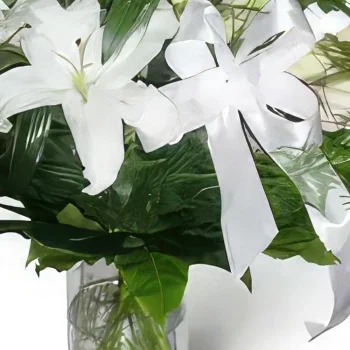 グダンスク 花- ホワイトリボン 花束/フラワーアレンジメント