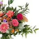 Amsterdam blommor- Vilda blommor släpps lös Bukett/blomsterarrangemang