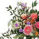 Amsterdam blommor- Vilda blommor släpps lös Bukett/blomsterarrangemang