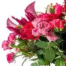 Ouled Maaref flowers  -  Flowerly Flower Bouquet/Arrangement
