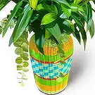 Cala Nova flowers  -  GREEN  BOUQUET 1 Flower Bouquet/Arrangement