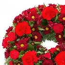 Swallow flowers  -  Sincerity Flower Bouquet/Arrangement