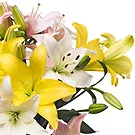 Oman flowers  -  Vivid Lilies Flower Bouquet/Arrangement