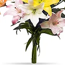 Oman flowers  -  Vivid Lilies Flower Bouquet/Arrangement