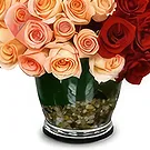 Cung Kiệm flowers  -  Sensational Feelings Flower Bouquet/Arrangement