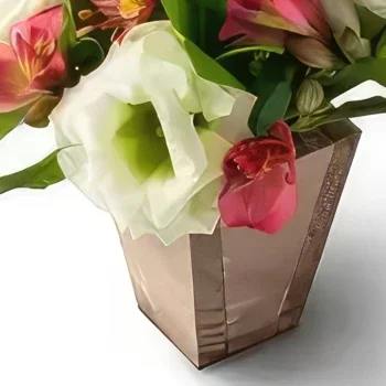 Braсilia cveжe- Аranžman poljсkog cveća i Асtromelije u ruži� Cvet buket/aranžman