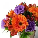 Chile flowers  -  Arrangement of Brightly Colored Field Flowers Flower Bouquet/Arrangement