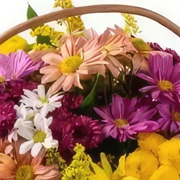 flores el Salvador floristeria -  Cesta de Daisies Coloridos Ramo de flores/arreglo floral
