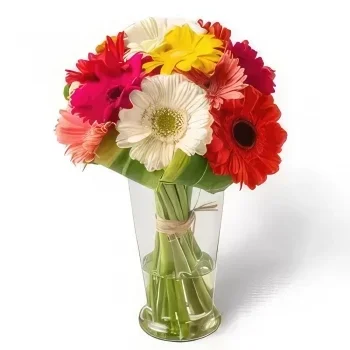 포르 탈 레자 꽃- 꽃병의 12 다채로운 거베라스 꽃다발/꽃꽂이