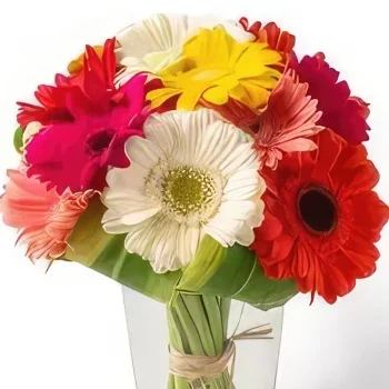 サンパウロ 花- 花瓶の12カラフルなガーベラ 花束/フラワーアレンジメント