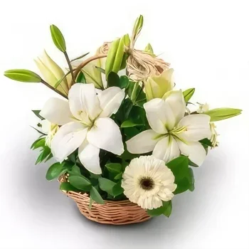 벨루 오리 존치 꽃- 백합과 화이트 거베라스와 바구니 꽃다발/꽃꽂이