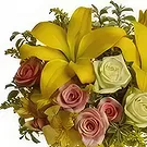 Hulu Bernam Timor Blumen Florist- Zitrusfrüchte geküsst Bouquet/Blumenschmuck