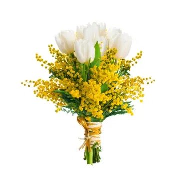 Włochy kwiaty- Bukiet Mimozy I Białych Tulipanów