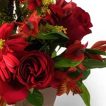 벨루 오리 존치 꽃- 혼합 된 붉은 꽃과 초콜릿의 배열 꽃다발/꽃꽂이
