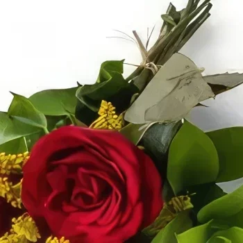 サンパウロ 花- 3本の赤いバラのアレンジメント 花束/フラワーアレンジメント