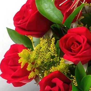 Manaus flori- Coș cu 24 trandafiri roșii și ciocolată Buchet/aranjament floral