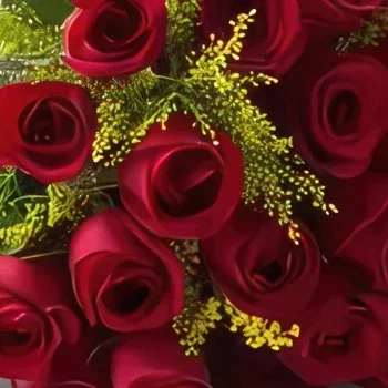 Рио де Жанейро цветя- Букет от 20 червени рози Букет/договореност цвете