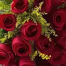 Chile flowers  -  Bouquet of 20 Red Roses Flower Bouquet/Arrangement