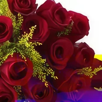 Белу-Оризонти цветы- Букет из 20 красных роз Цветочный букет/композиция
