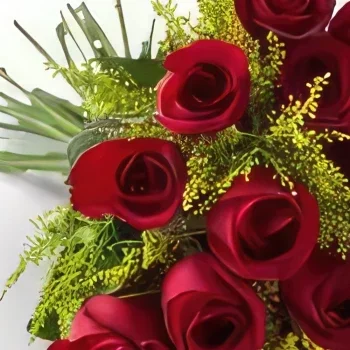 Salvador blomster- Bukett med 20 røde roser Blomsterarrangementer bukett