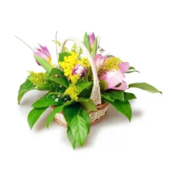بائع زهور صقلية- سلة من زهور التوليب الحمراء والميموزا