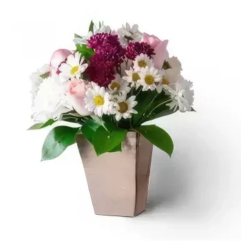 サンパウロ 花- ピンクトーンのヒナシ、カーネーションとバラのアレンジメント 花束/フラワーアレンジメント
