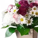 Brasilien Blumen Florist- Arrangement von Gänseblümchen, Nelken und Ros Bouquet/Blumenschmuck
