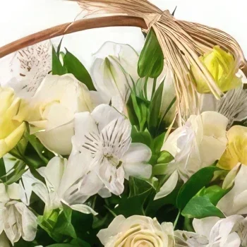 רסיפה פרחים- סל של פרחי שדה לבנים זר פרחים/סידור פרחים