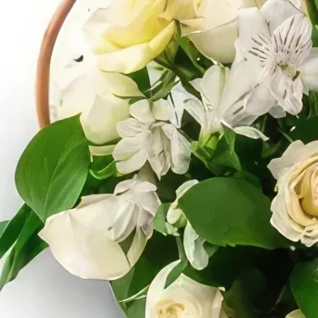 fleuriste fleurs de Salvador- Panier des fleurs blanches de champ Bouquet/Arrangement floral