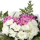 Beljanovo Blumen Florist- Rosa-Weiß-Romantik Bouquet/Blumenschmuck