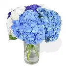 Taunton flowers  -  Blushing Beauty Flower Bouquet/Arrangement