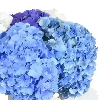 Манчестър цветя- Blushing Beauty Букет/договореност цвете