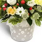 Palia Ampelia flowers  -  Everyday Flowers Flower Bouquet/Arrangement
