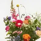 Dänemark Blumen Florist- Colorfull gepflückt Bouquet Bouquet/Blumenschmuck