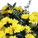 Mira flowers  -  Vibrant Yellow Flower Bouquet/Arrangement