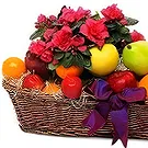 Gacko flowers  -  Fresh Fruit and Flowers Basket Flower Bouquet/Arrangement