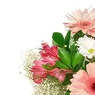 ブラゴボ 花- 見事な花束 花束/フラワーアレンジメント
