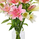 Maastricht Blumen Florist- Charmanter Anfang Bouquet/Blumenschmuck