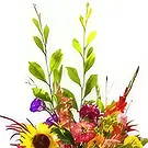 Ouled Maaref flowers  -  Colors in a box Flower Bouquet/Arrangement