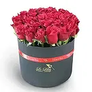 Adma flowers  -  Fresh One Flower Bouquet/Arrangement