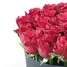 Adma flowers  -  Fresh One Flower Bouquet/Arrangement